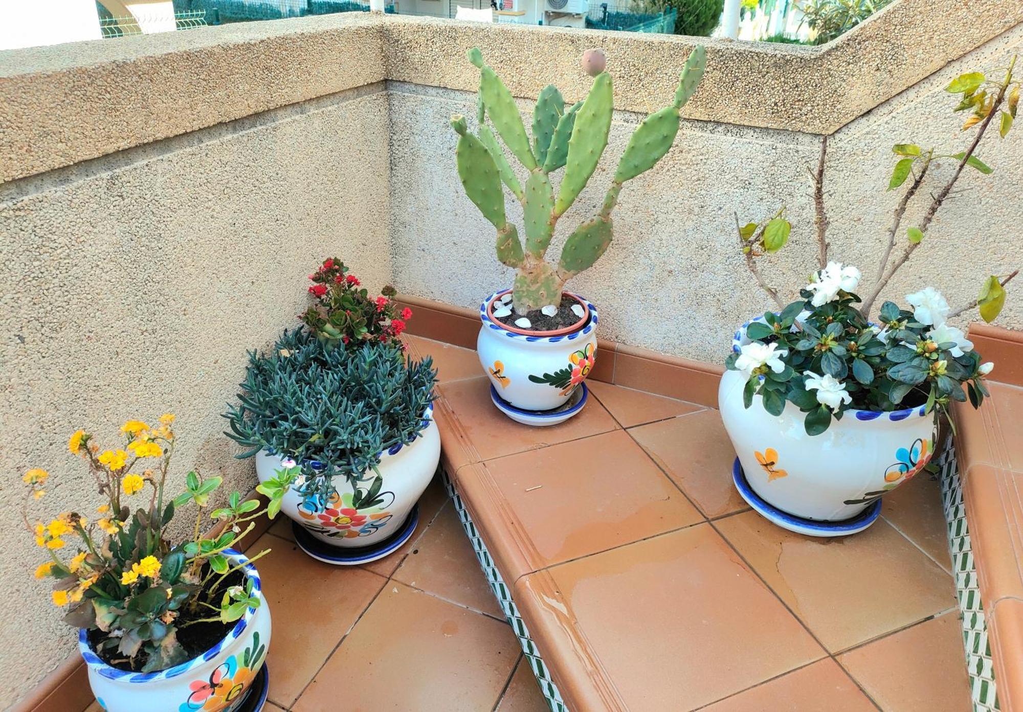 Appartement Casa De Buenos Dias à Torrevieja Extérieur photo